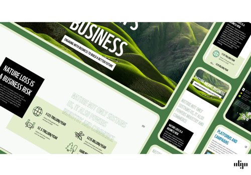 Web Design Package Example: WFF Landing  Page