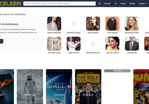 Search Engine Optimization Package Example: CELEBRI