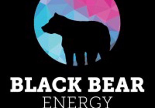 Web Development Package Example: Black Bear Energy