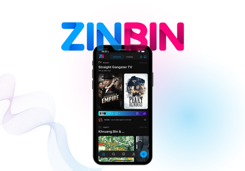 Marketing Strategy Package Example: ZinBin Launch Growth