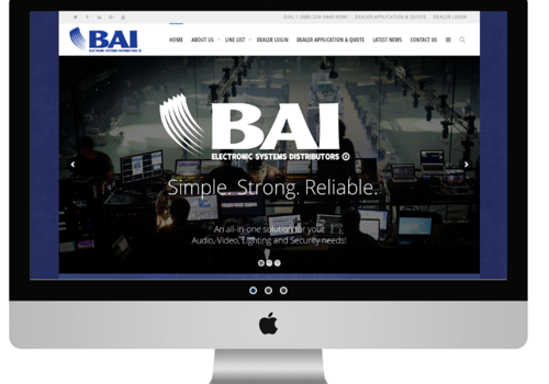E-Commerce Development Package Example: BAI Online