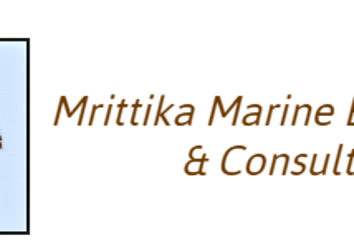 Web Design Package Example: Website Designing for Mrittika Marine