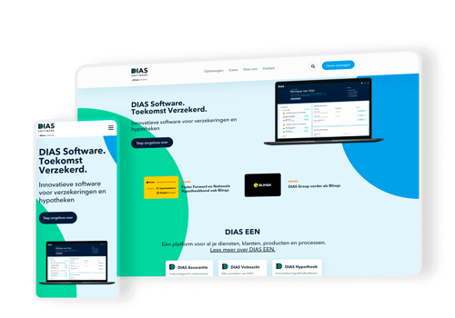 Web Design Package Example: DIAS Software B.v.