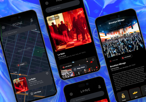 UX/UI Design Package Example: Scene