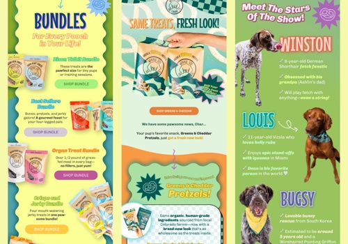 Email Marketing Package Example: Email Design: Pet Brand