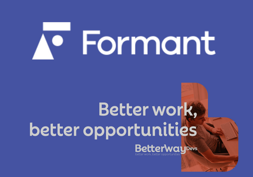 IT Staff Augmentation Package Example: Full Time front and back end software developers