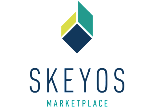 Web Development Package Example: Skeyos