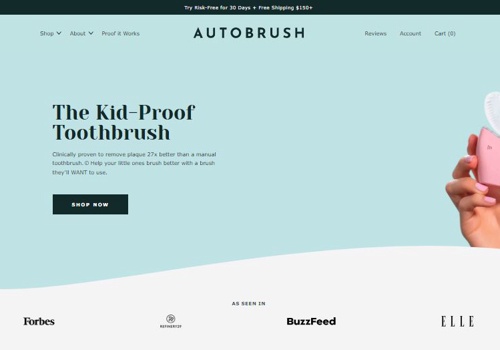Custom Software Development Package Example: Try Auto Brush (Dental website)