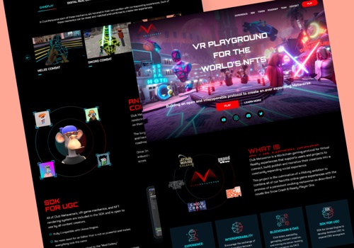 Web Design Package Example: Metaverse Club