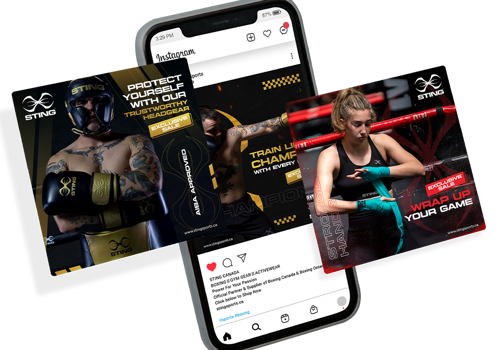 Pay Per Click Package Example: Sting Sports