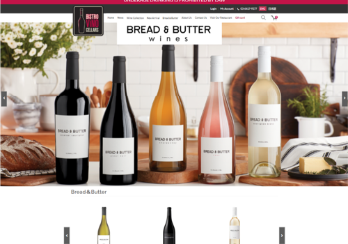 Web Design Package Example: Magento eCommerce Web Design and Web Development