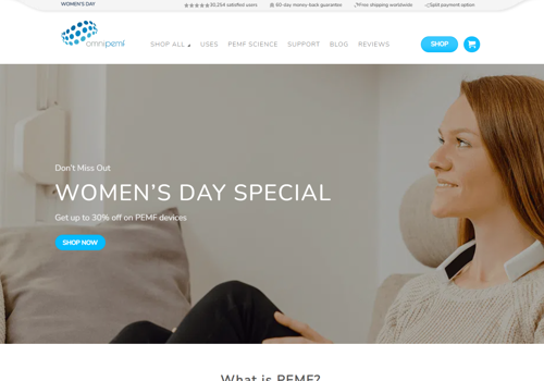 Translation Package Example: Website translation for an International Company