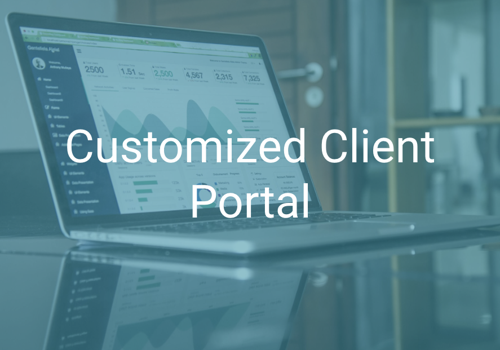 CRM Consulting and SI Package Example: Customized Client Portal