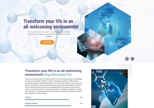 Web Design Package Example: Drug Discovery Pro Website