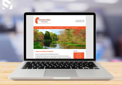 Web Design Package Example: 495/Metrowest Web Design + Development