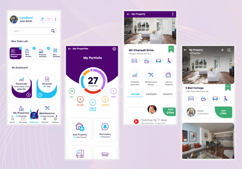 Mobile App Development Package Example: Zungu