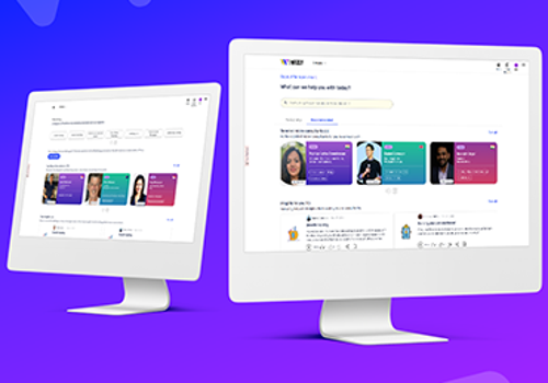 Web Development Package Example: Wizly