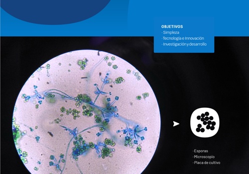 Branding Package Example: Brand Design