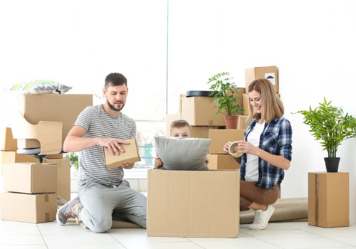 Web Development Package Example: Web Development & Digital Marketing