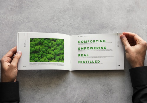 Branding Package Example: Branding and Web Design for Denists Office