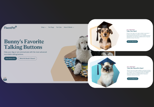 Application Testing Package Example: Mobile & Physical platform testing