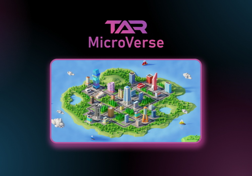 Custom Software Development Package Example: TAR MicroVerse