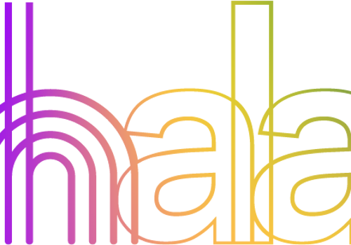 Mobile App Development Package Example: Hala Sport