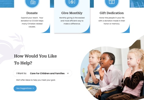 Web Design Package Example: Website for Non Profit Organization