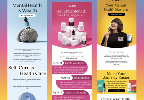 Email Marketing Package Example: Case Study: CBD brand