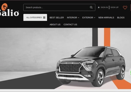 Web Design Package Example: Galioindia