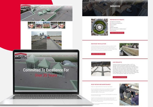 Web Design Package Example: Restore and redesign old website