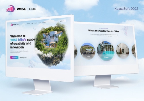 Web Design Package Example: W1SE Castle Corporate Site | UX/UI | Development