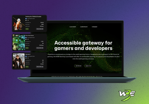 Web Design Package Example: W3E Gaming Launchpad