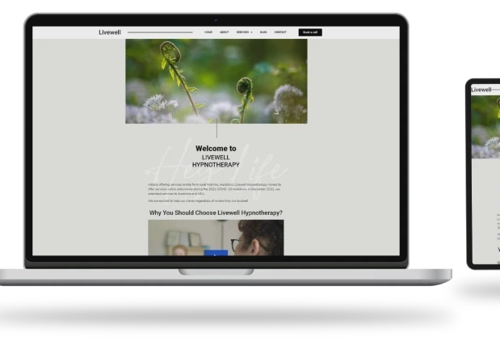 Search Engine Optimization Package Example: Web Design, SEO & Google Ads
