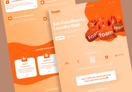 Web Design Package Example: Foam Laundry