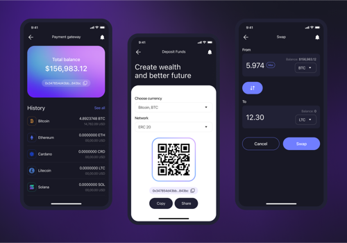 Custom Software Development Package Example: Crypto wallet development