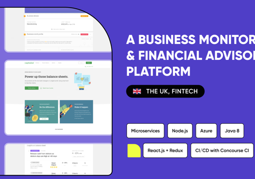 Custom Software Development Package Example: Business Monitoring & Financial Advisory Platform