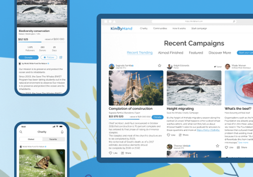 UX/UI Design Package Example: Crowdfunding and social platform