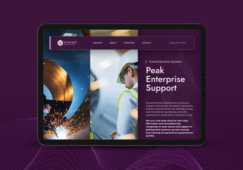 Branding Package Example: New Logo & Website for Everest Business Systems