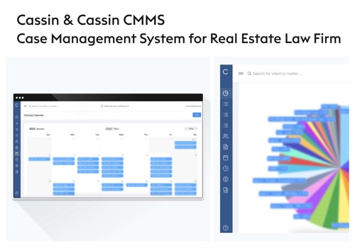 Custom Software Development Package Example: Cassin & Cassin - Case Management System