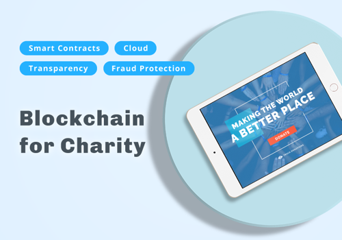 Custom Software Development Package Example: Blockchain for Charity