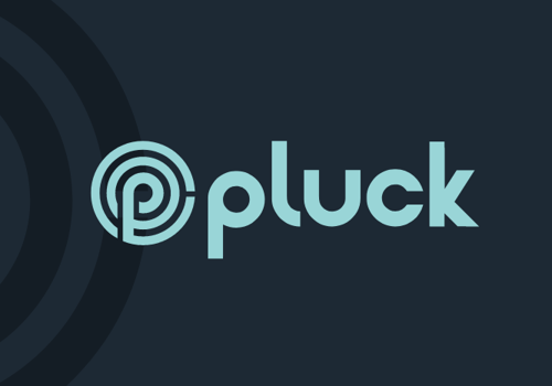 UX/UI Design Package Example: Pluck Consulting Branding & Website