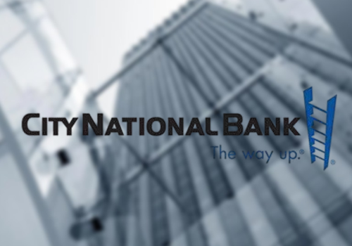 Custom Software Development Package Example: Project with City National Bank