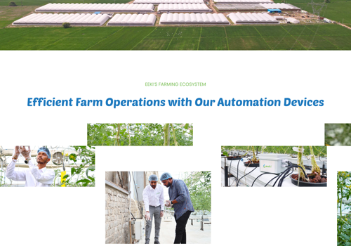 Web Design Package Example: Organic Food Business