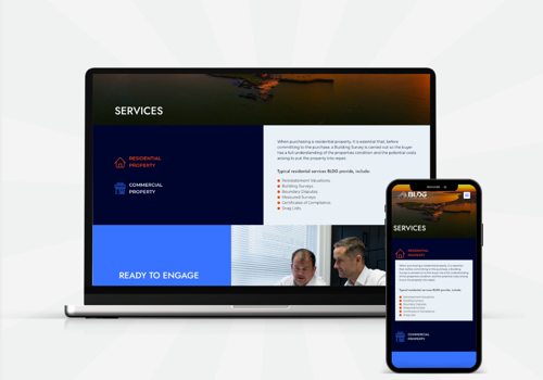 Web Design Package Example: BLDG Brochure Website