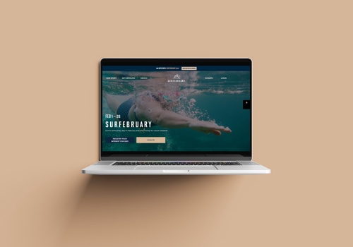 Custom Software Development Package Example: Website Development