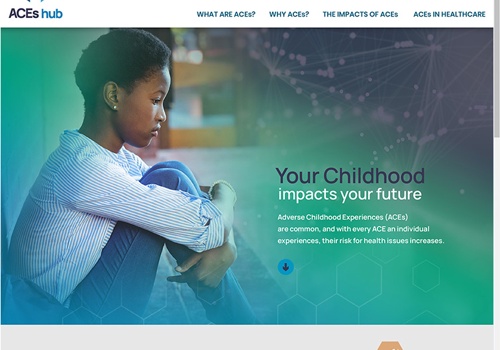 Web Design Package Example: Aces Hub Website