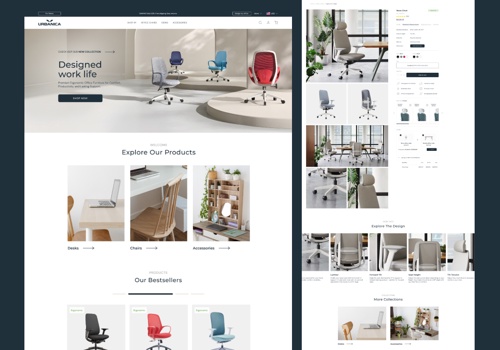Web Design Package Example: Liquid Theme Shopify Website Design & Development