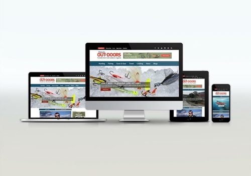 Web Design Package Example: Website build / Maintenance