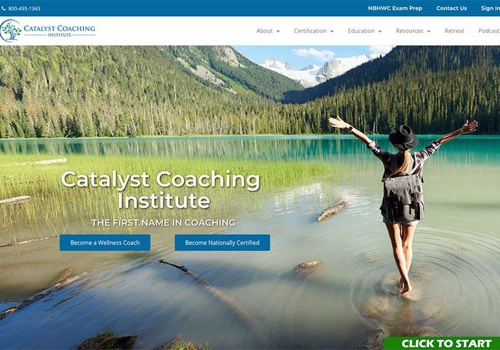 Digital Strategy Package Example: Catalyst Coaching Institute